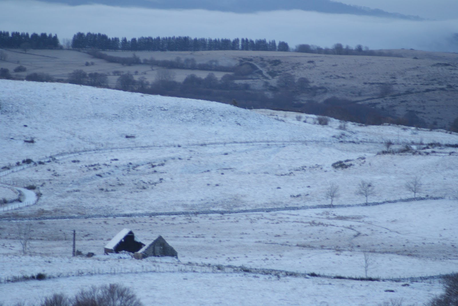 fond d'ecran gratuit aubrac